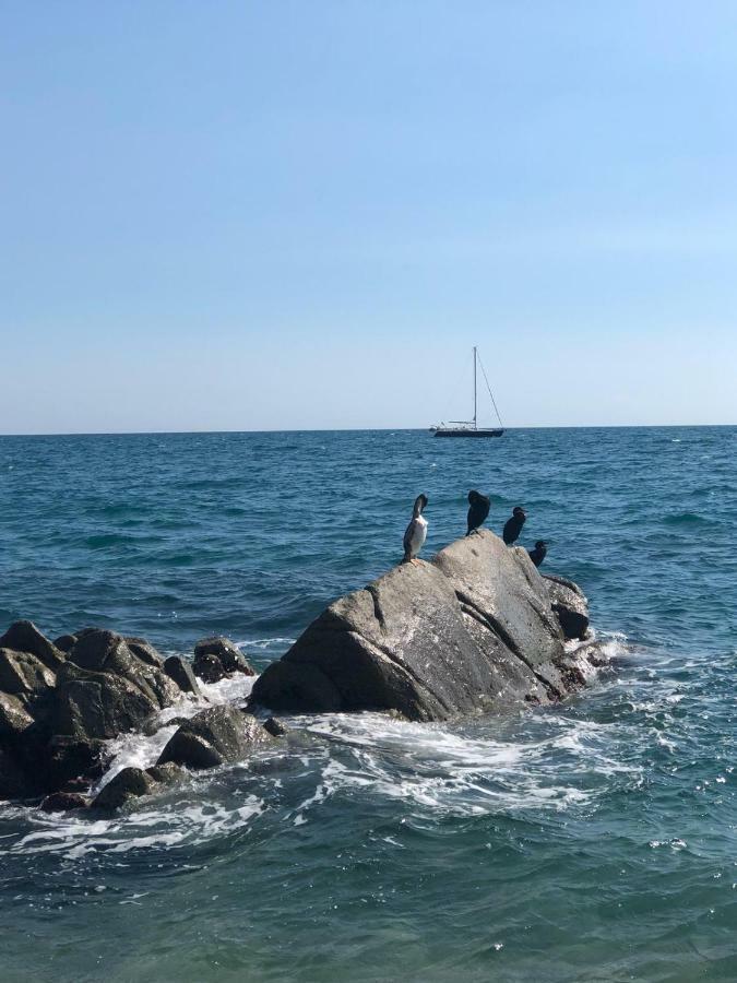 White Stones Beach In Sant Pol De Mar Eksteriør bilde